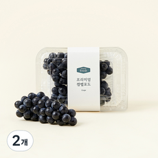 프리미엄 캠벨 포도, 500g, 2개