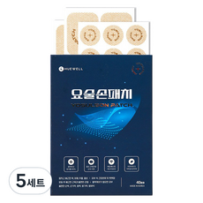 휴웰 근육 관절 요술손패치 대형 6p + 중형 24p + 소형 12p 세트, 42매입, 5세트