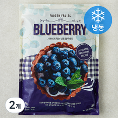 글로벌냉동식품 블루베리 (냉동), 2개, 1kg