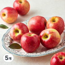 셀렉트팜 A 피크닉 사과, 1.5kg(소과, 6~9입), 5개