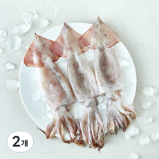 제주어가 손질 생물 오징어 (냉장), 2개, 500g(3~5미)