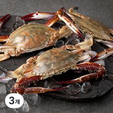 어부심에서 선별한 서해안 산지직송 햇꽃게 3~5미, 1kg, 3개