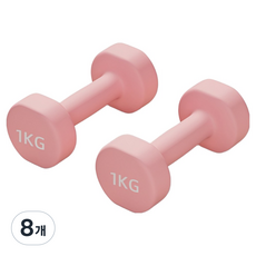 로이윙 PVC 아령 덤벨 양손 세트, 8개, 1kg