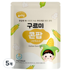퓨어잇 구르미 콘팝 과자, 25g, 5개, 구운옥수수맛