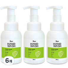 제타 포밍 핸드워시 용기 청포도, 300ml, 6개