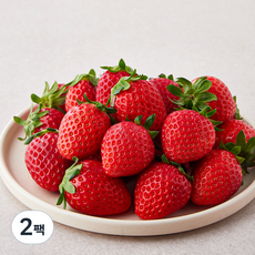 다미팜 금실딸기 중과, 500g, 2팩