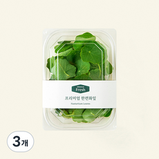 프리미엄 한련화잎, 10g, 3개