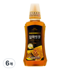 고려인삼 잡화벌꿀, 500g, 6개