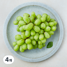 수플린 칠레산 청포도 톰슨, 4개, 800g