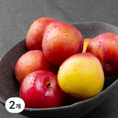 산지직송 후무사 왕자두, 1kg(7~9과), 2개