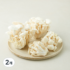 친환경 백색느타리버섯, 500g, 2개