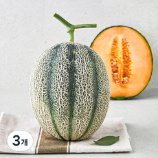 제이드가든 칸탈로프 메론, 1.2kg, 3개