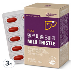 대상웰라이프 밀크씨슬 B파워 21g, 30정, 3개
