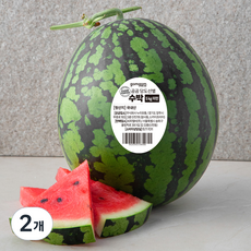 곰곰 당도선별 수박, 4kg 이상, 2개