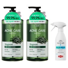 샤워메이트 사철쑥 아크네 케어 여드름 기능성 바디워시 2p 800ml + 랩신 항균 풋샴푸 쿨링 410ml