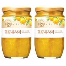복음자리 배를 넣어 부드러운 유자차, 480g, 1개입, 2개