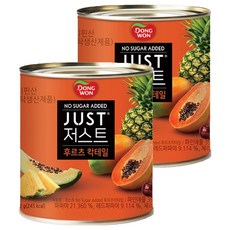 동원 JUST 저스트 노슈가 후르츠 칵테일 통조림, 2개, 822g