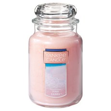YANKee CANDLe 香氛蠟燭 Pink Sands 623g 大罐裝，居家香氛，營造浪漫氛圍, 1罐