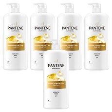 팬틴 극손상케어 샴푸 프루티 플로럴, 1.2L