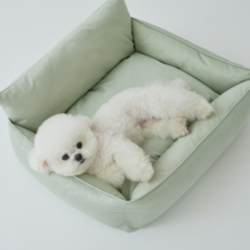 Pet&Mama 寵物安眠靠背坐墊, 1個, 淺綠色