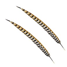 寵物貓用野雞羽毛玩具, 混色, 2個