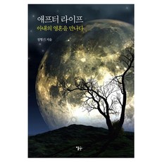 Esoope Publishing 死後人生：遇見妻子的靈魂