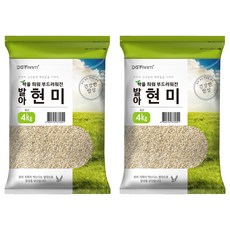 대구농산 건강한밥상 발아현미, 4kg, 2개