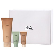 HANYUL 韓律 栗子角質毛孔清潔面膜 100ml+20ml+泡沫潔面乳 15g, 1組