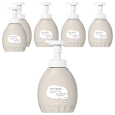 아이깨끗해 프리미엄 클린 비건 폼 핸드솝 피오니향, 450ml, 6개