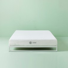 지누스 베이직 메모리폼 매트리스 + 트리샤 침대 프레임 방문설치