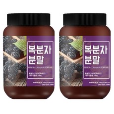 건강스토리 복분자 분말, 200g, 2개