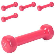 아이워너 PVC 컬러 아령, 0.5kg, 5개