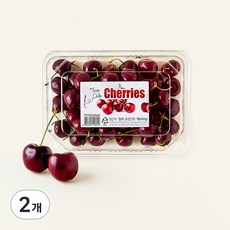 칠레 체리, 400g, 2개
