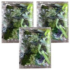 A-ONE 匯旺 浮游花DIY花材包 3包, H27 翠影綠意 彩色，手作裝飾，居家擺設，創意禮品