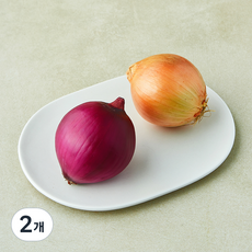 콤비 양파 2개입, 2개, 230~360g