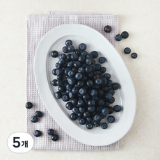 다조은 칠레산 블루베리, 5개, 310g