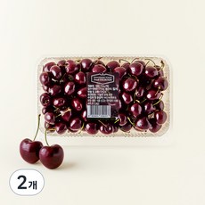 신세계푸드 칠레 체리, 750g, 2개