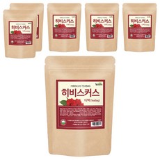 VOTEM 히비스커스 삼각티백, 1.2g, 50개입, 6개