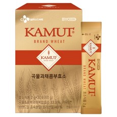 BYO 卡姆小麥穀物蔬果康普茶酵素, 60g, 1個