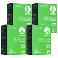 아이앤지메딕스 반려동물 에너지믹스 영양제, 40g, 장건강/유산균, 4개