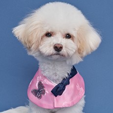 DOG-i 狗狗蝴蝶韓服披肩, 粉紅色, 1個
