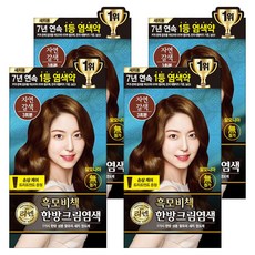 리엔 흑모비책 새치염색 크림, 자연갈색, 4개