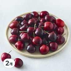 고당도 미국 체리, 300g, 2개