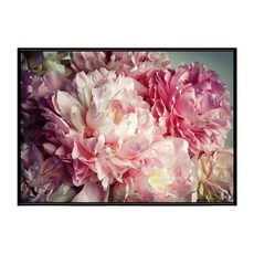 Boluo 菠蘿選畫所 掛畫 柔雅牡丹 (BFB4631B) [效果可用] 裝飾畫 黑色, 42 x 59.4cm