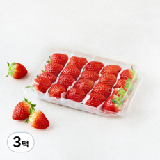 곰곰 설향딸기, 500g(L), 3팩