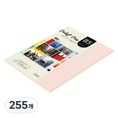 paperculture PrintPro 彩色影印紙 80g No 22 淺粉紅色, B5, 255個