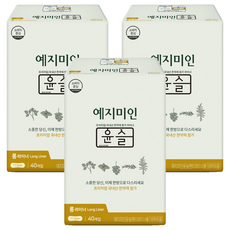 예지미인 윤슬 팬티라이너, 롱, 40개입, 3개