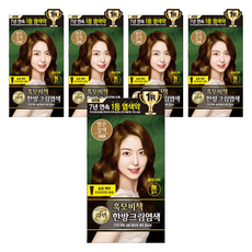 리엔 흑모비책 새치염색 크림, 밝은갈색, 5개