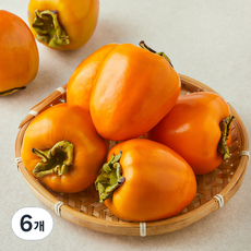 제이드가든 후숙해서 먹는 대봉감, 6개, 1.8kg(중과, 7~8입)