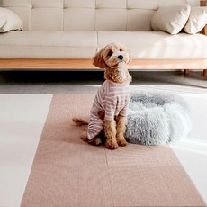 딩동펫 애견 미끄럼방지 매트, 베이지, 10개